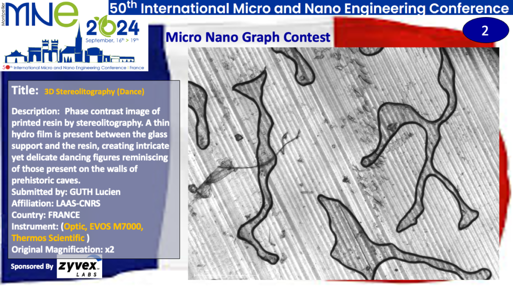 "3D Stereolitography (Dance)", a micrograph contest entry submitted by Guth Lucien from LAAS-CNRS in France.