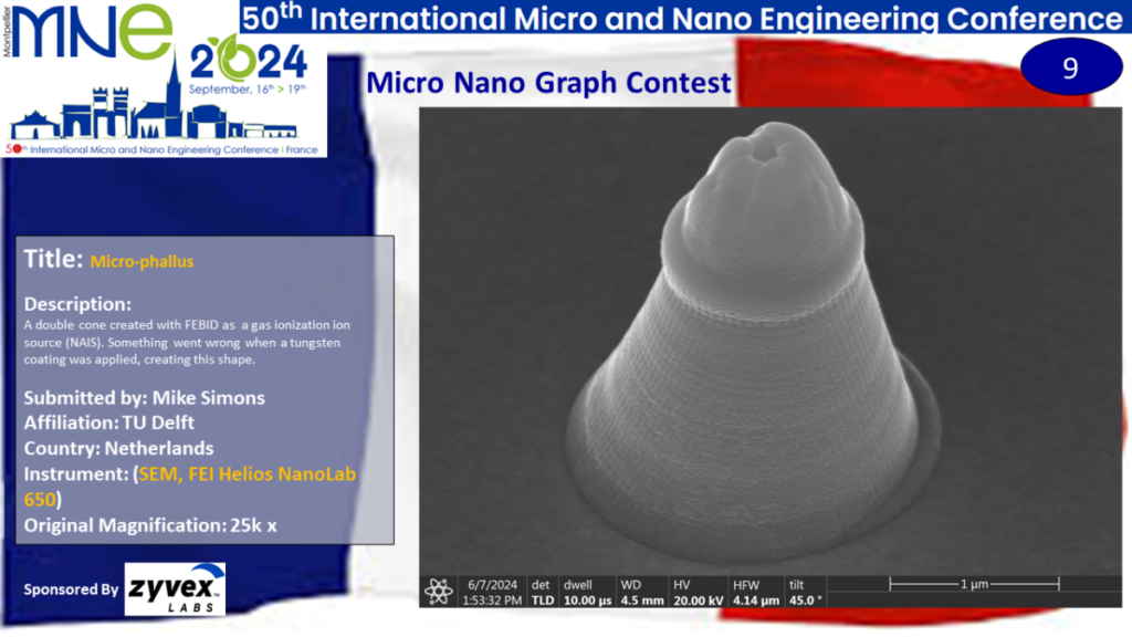 "Micro Phallus", a micrograph contest entry submitted by Mike Simons from TU Delft in the Netherlands.