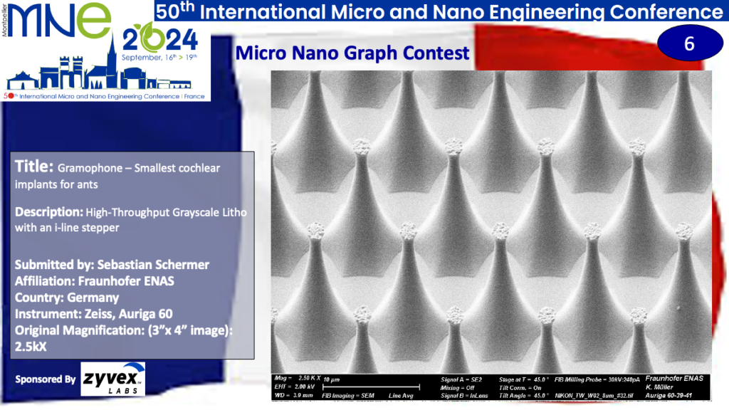 "Gramophone - Smallest Choclear Implants for Ants", a micrograph contest entry submitted by Sebastian Schermer from Fraunhofer ENAS in Germany.