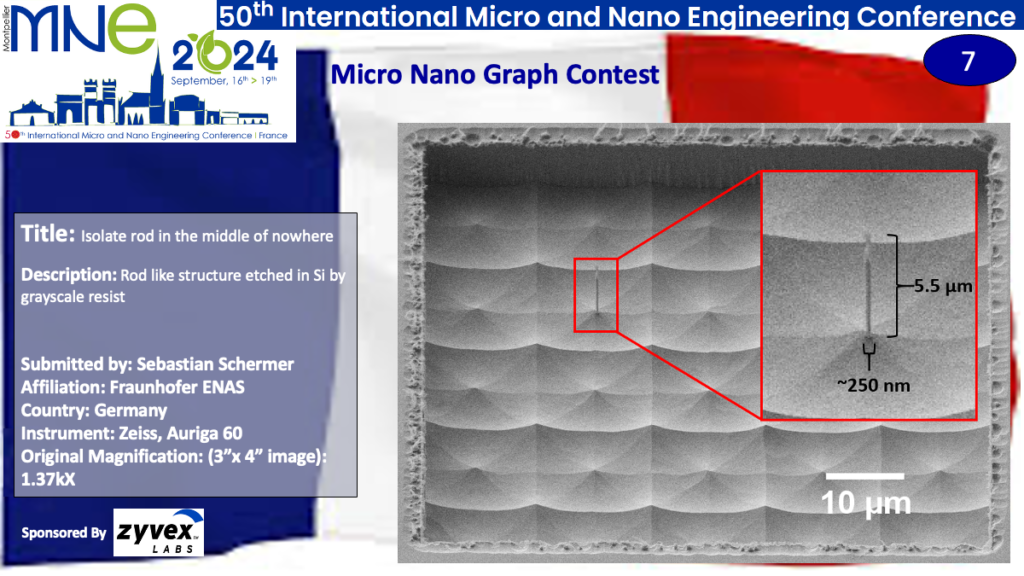 "Isolate Rod in the Middle of Nowhere", a micrograph contest entry submitted by Sebastian Schermer from Fraunhofer ENAS in Germany.