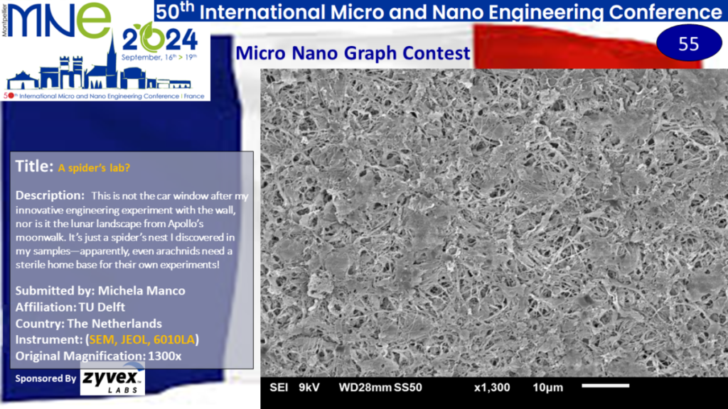 "A spider's lab?", A micrograph contest entry submitted by Michela Manco from TU Delft in the Netherlands.