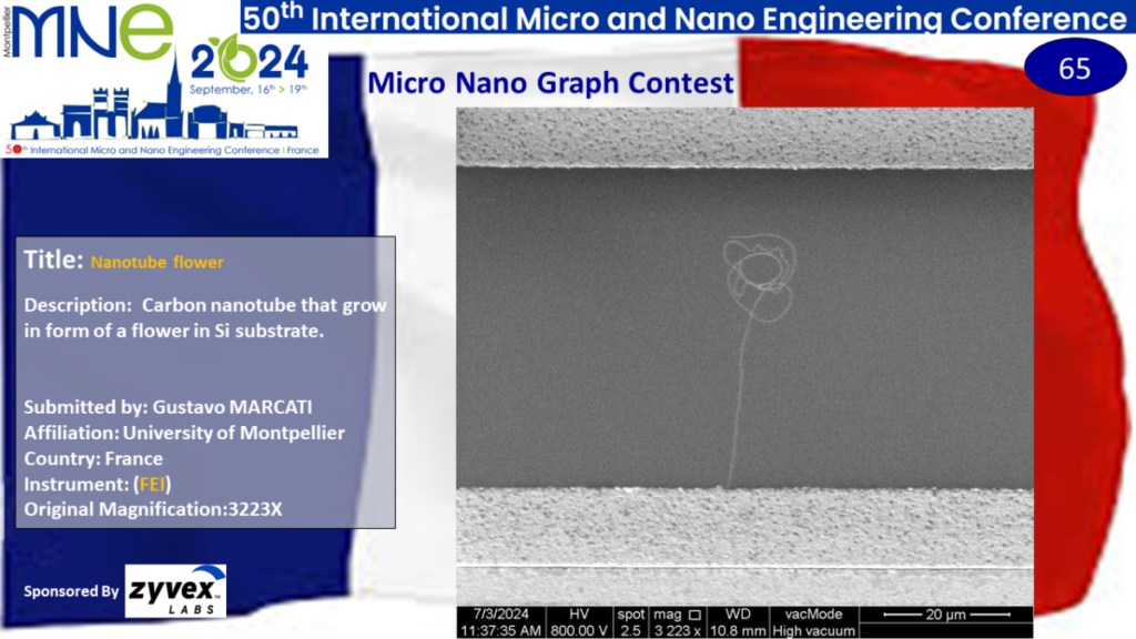 "Nanotube flower", A micrograph entry from Gustavo Marcati from the University of Montpellier in France.