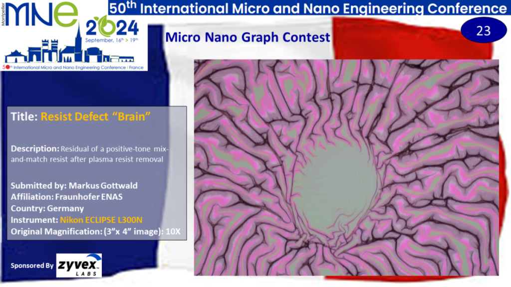 "Resist Defect 'Brain'", a micrograph contest entry submitted by Markus Gottwald from Fraunhofer ENAS in Germany.