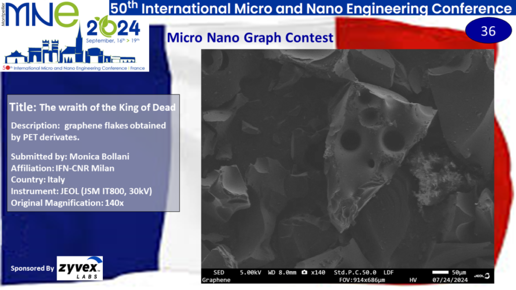 "The wraith of the King of Dead", A micrograph contest entry submitted by Monica Bollani from IFN-CNR Milan in Italy.