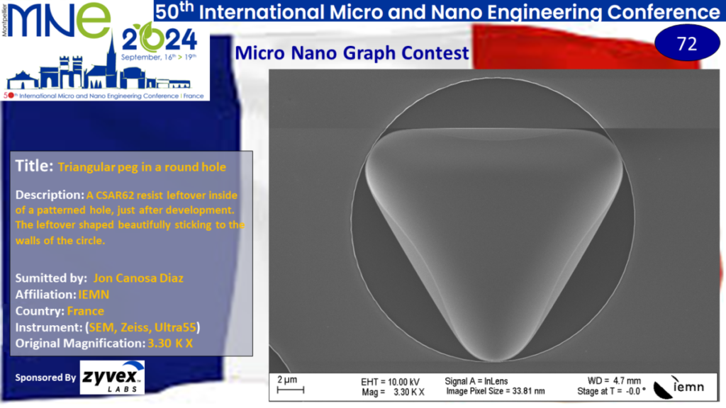 "Triangular peg in a round hole", A micrograph contest entry submitted by Jon Canosa Diaz from IEMN in France