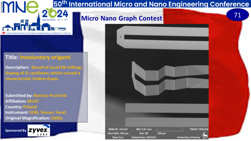 "Involuntary origami", A micrograph contest entry submitted by Bartosz Pruchnik from WUST in Poland