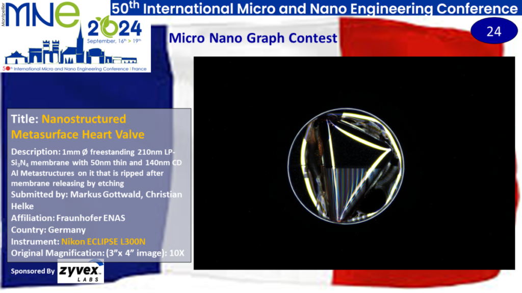 "Nanostructured Metasurface Heart Valve", a micrograph contest entry submitted by Markus Gottwald from Fraunhofer ENAS in Germany.