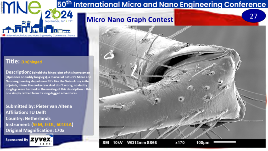 "(Un)hinged", A micrograph contest entry submitted by Pieter van Altena from TU Delft in the Netherlands.