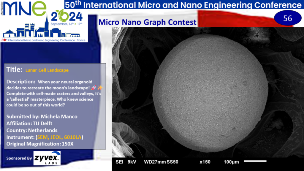 "Lunar Cell Landscape", A micrograph contest entry submitted by Michela Manco from TU Delft in the Netherlands.