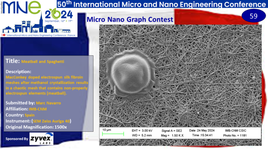 "Meatball and Spaghetti", A micrograph contest entry submitted by Marc Navarro from IBM-CNM in Spain.