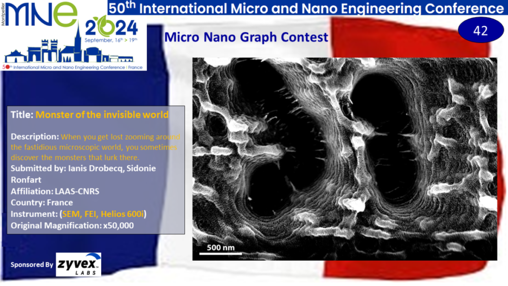 "Monster of the invisible world", A micrograph contest entry submitted by Ianis Drobecq and Sidonie Ronfart from LAAS-CNRS in France.