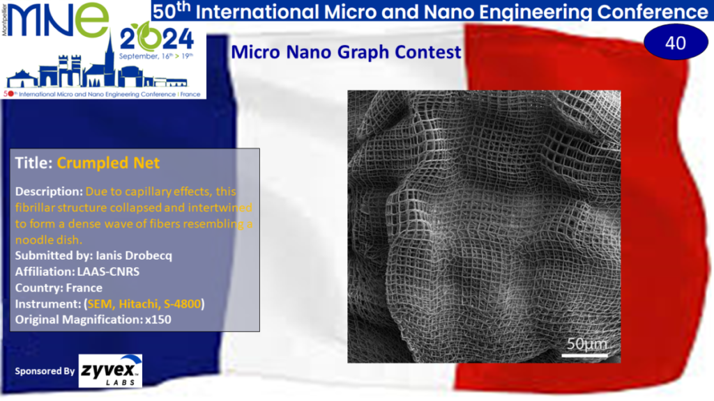 "Crumpled Net", A micrograph contest entry submitted by Ianis Drobecq from LAAS-CNRS in France.