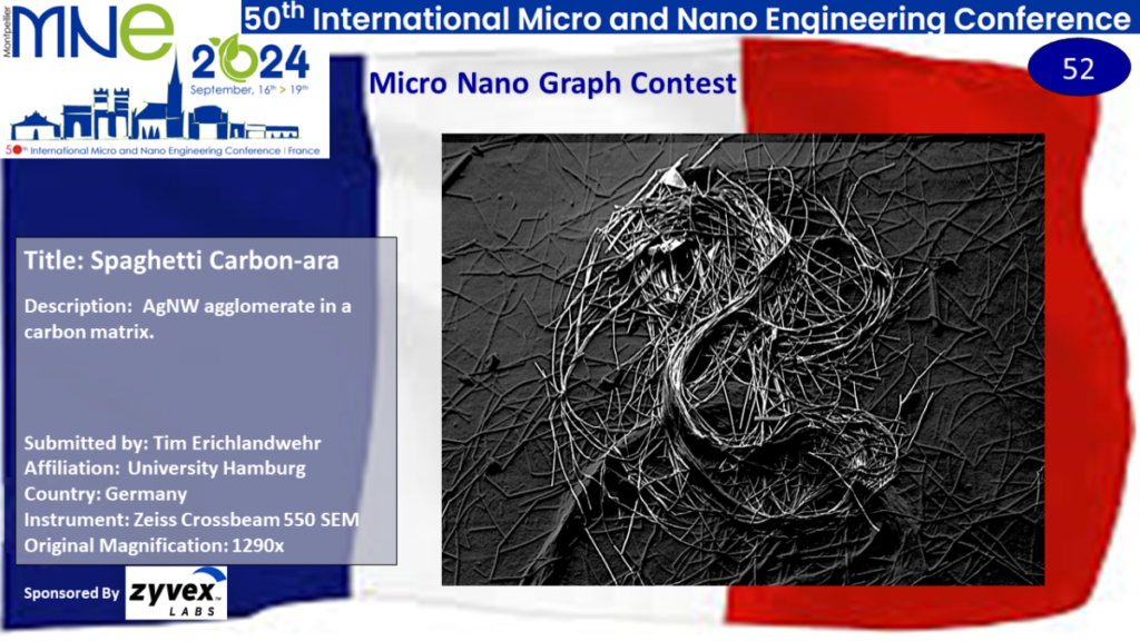 "Spaghetti Carbon-ara", A micrograph contest entry submitted by Tim Erichlandwehr from Hamburg University in Germany.