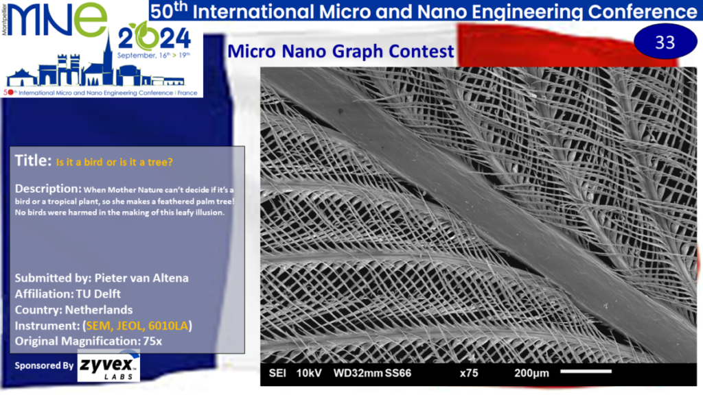 "Is it a bird or is it a tree?", A micrograph contest entry submitted by Pieter van Altena from TU Delft in the Netherlands.